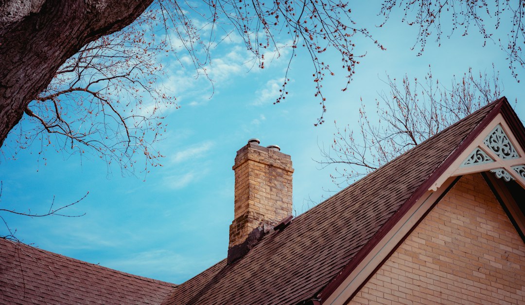 Chimney Services
